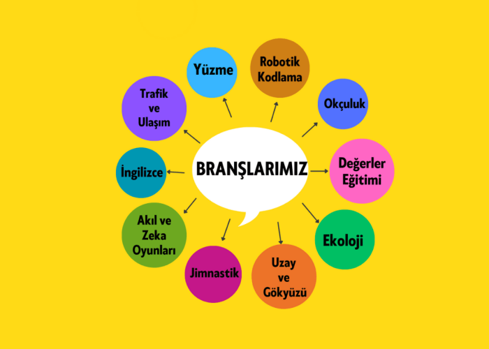 Branşlarımız