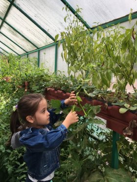 2021 - 2022 Eğitim Öğretim Yılı