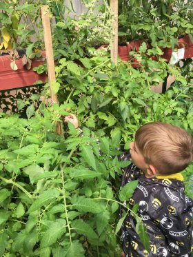 2021 - 2022 Eğitim Öğretim Yılı