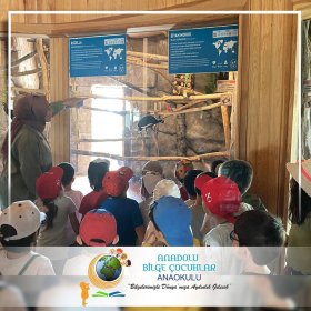 2021 - 2022 Eğitim Öğretim Yılı 3